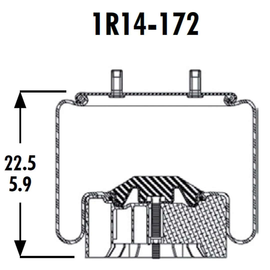 PULMON DE SUSPENSION 1T19LF-7 1R14-172 (8774) HENDRICKSON GOODYEAR - Image 2